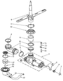 Pump and spray arm