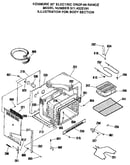 Body section