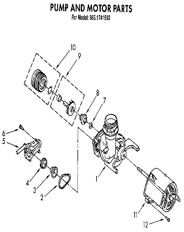 Pump and motor