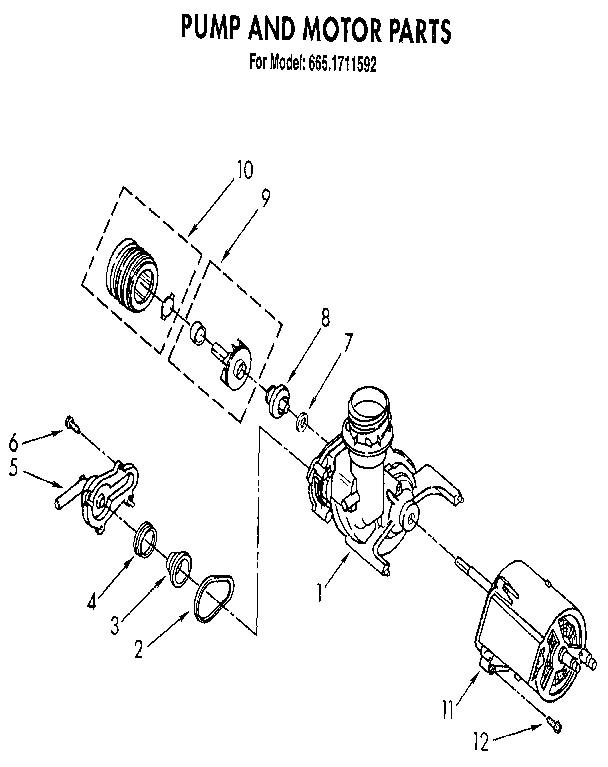 Pump and motor