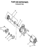 Pump and motor