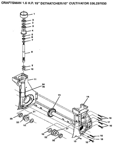 Tine shaft and gear assembly