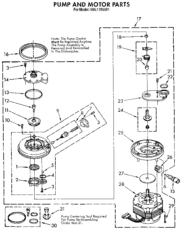 Pump and motor