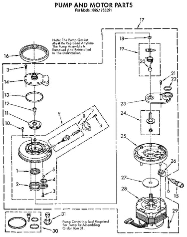 Pump and motor