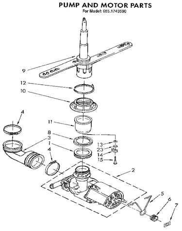 Pump and motor