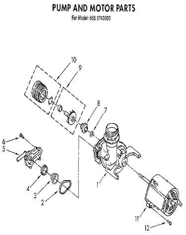 Pump and motor