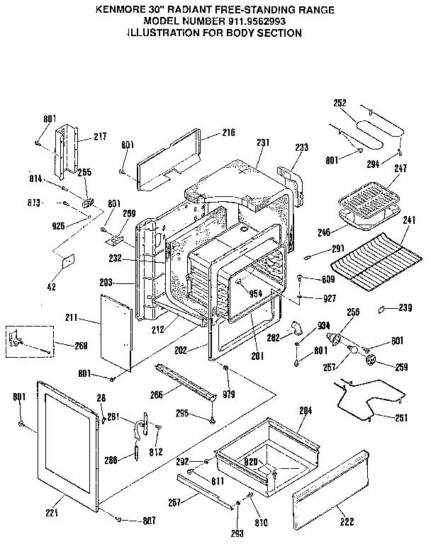 BODY SECTION