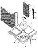 Functional-all models