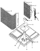 Functional-all models