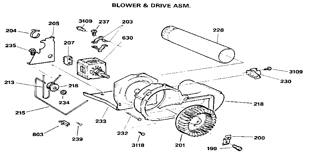 Blower & drive assembly