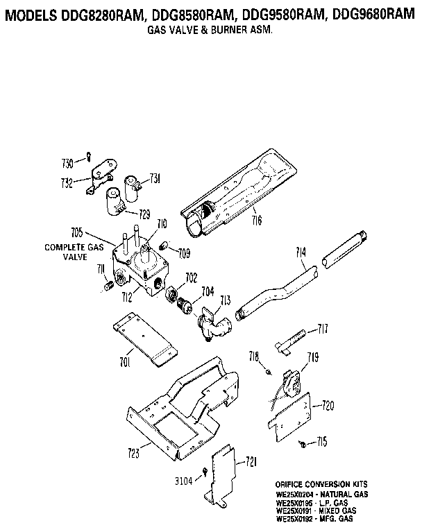 Gas valve & burner assembly