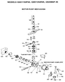 Motor-pump mechanism