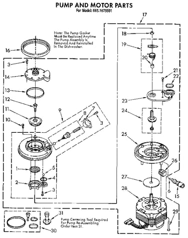 Pump and motor