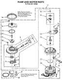 Pump and motor