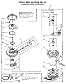 Pump and motor
