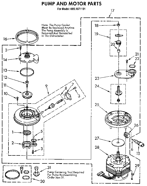 Pump and motor