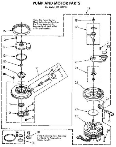Pump and motor