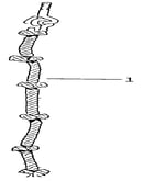 Rope