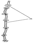 Rope assembly