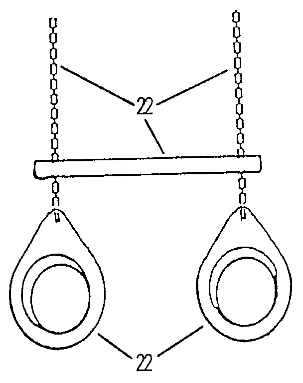 Trapeze bar & gym ring assembly