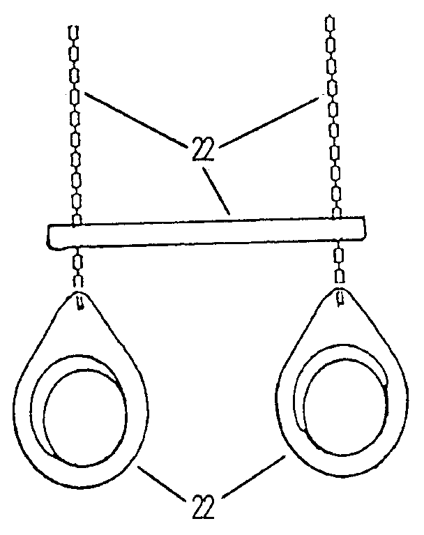 Trapeze bar & gym ring assembly