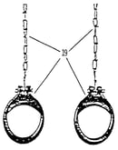 Gym ring assembly