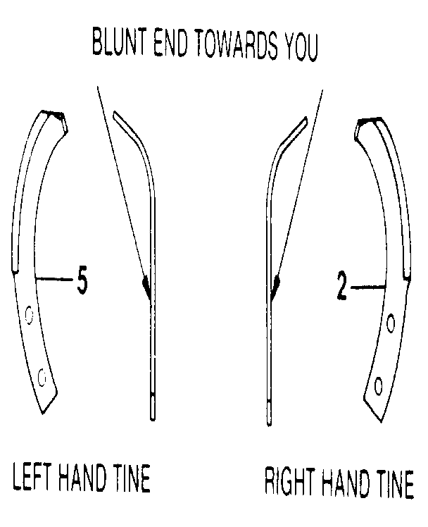 Bolo tines
