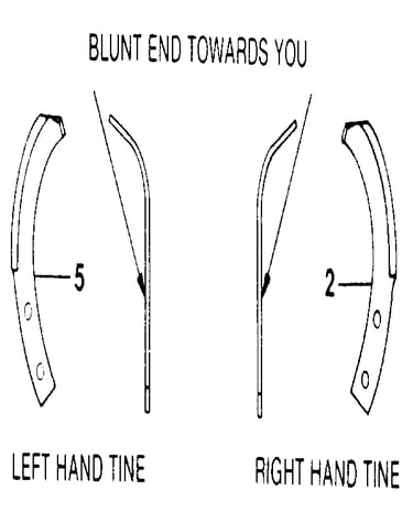 Bolo tines