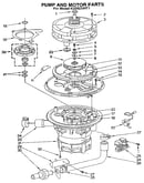 Pump and motor