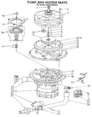 Pump and motor