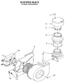Blower