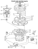 Pump and motor