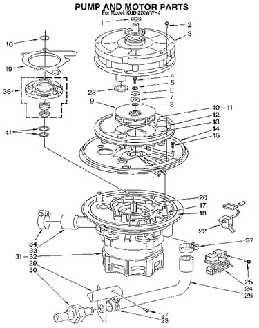 Pump and motor