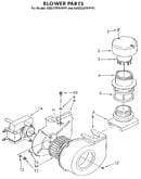 Blower