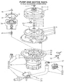 Pump and motor