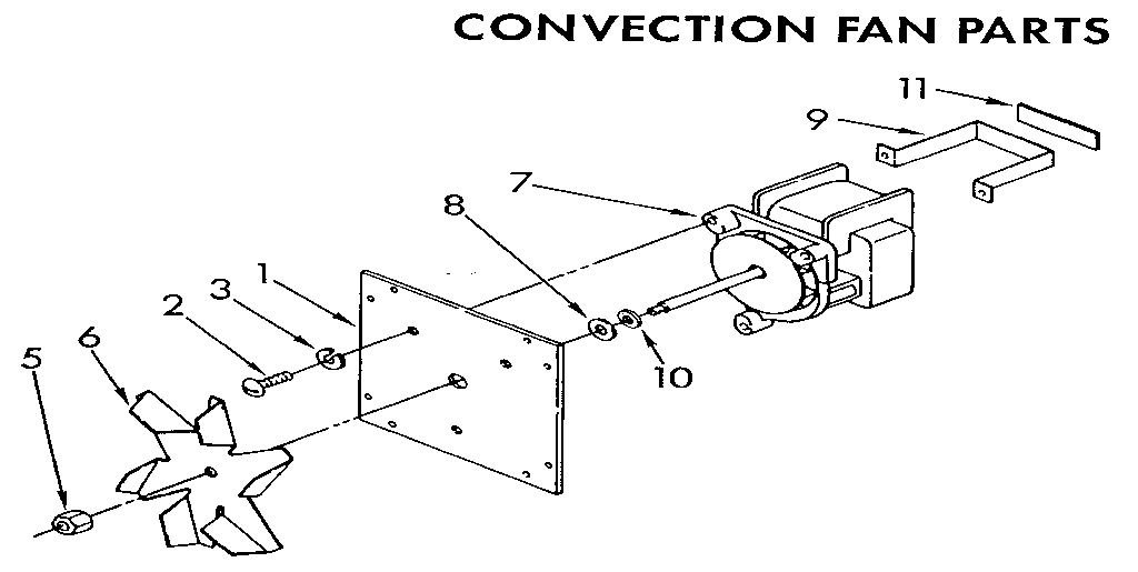 Convection fan