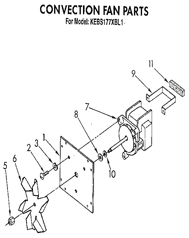 Convection fan