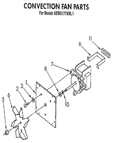 Convection fan