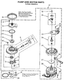 Pump and motor
