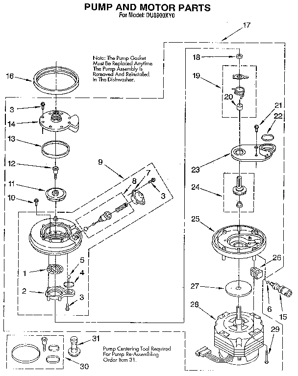 Pump and motor