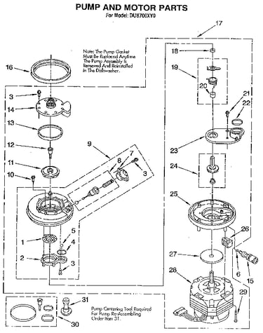 Pump and motor