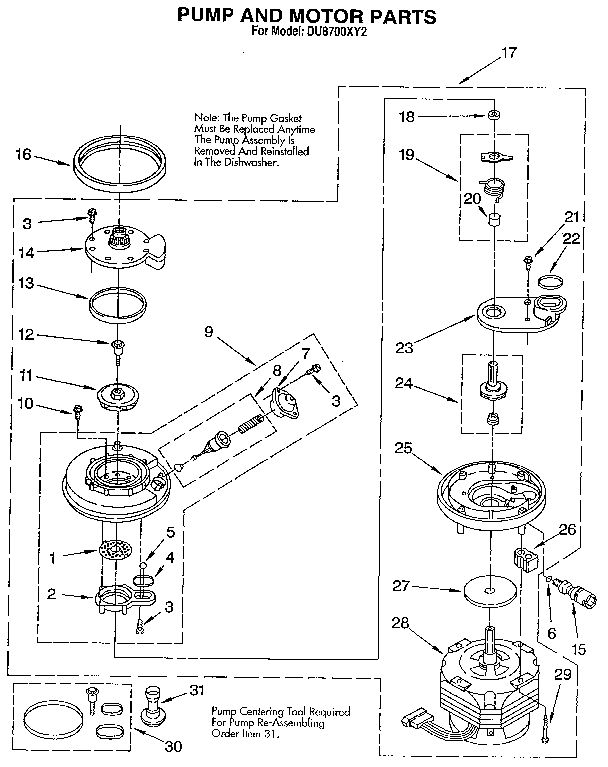 Pump and motor