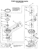 Pump and motor