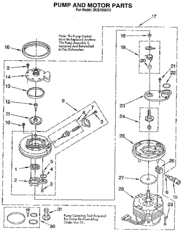 Pump and motor