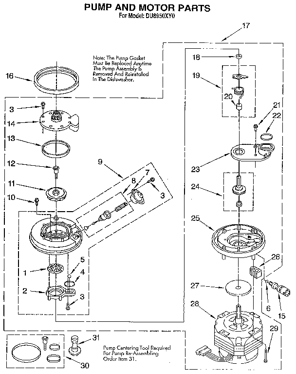 Pump and motor