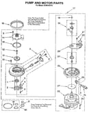 Pump and motor