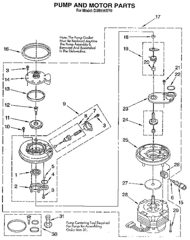 Pump and motor