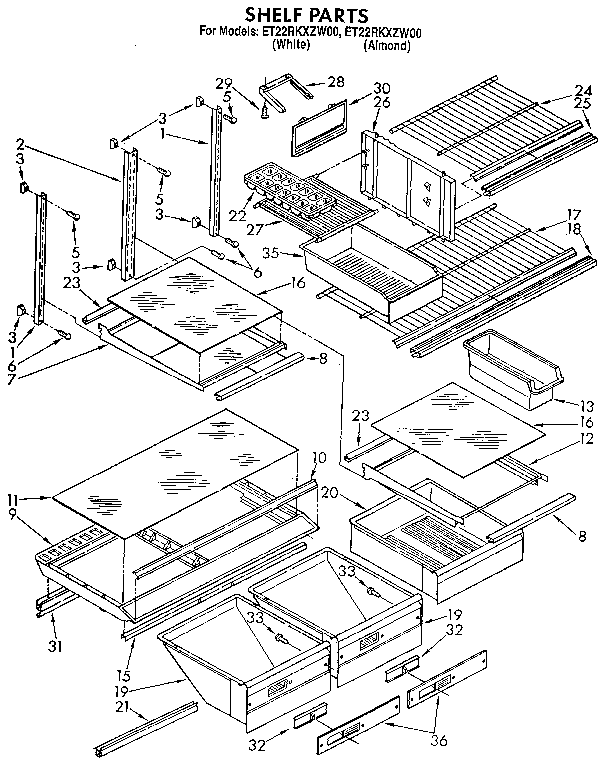 Shelf