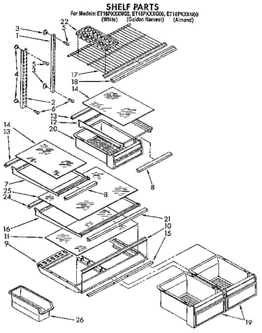 Shelf