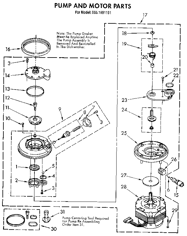Pump and motor